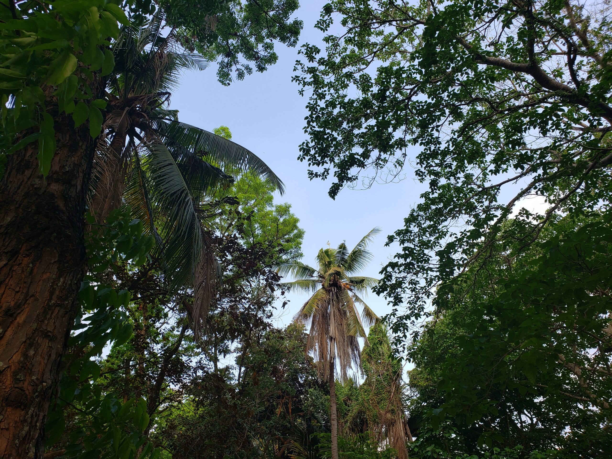 20190505_071438