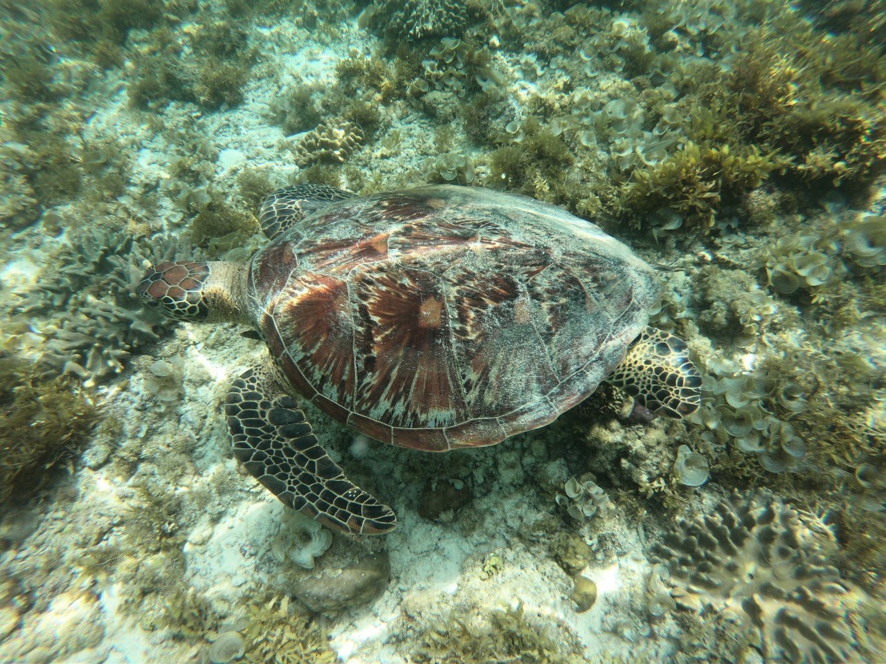 S__162160678