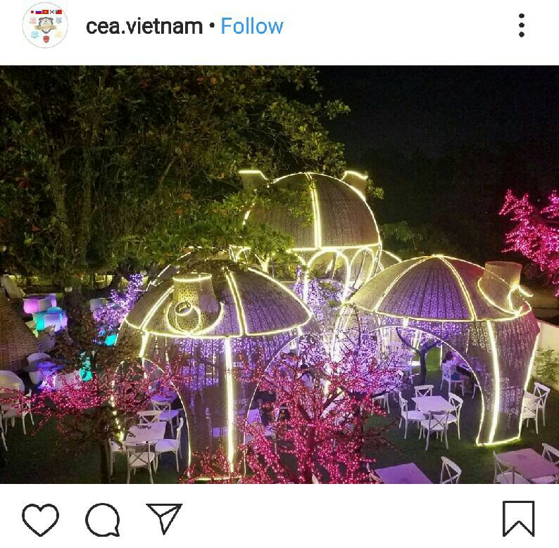 insta5