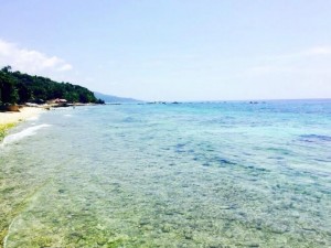 67ff05f1-c146-4e36-97b6-3d6ac33d6438