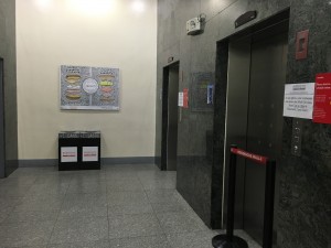 IMG_2210