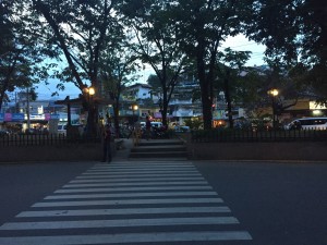 IMG_2210
