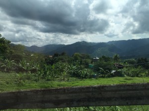 IMG_2400