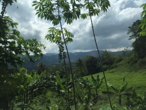 IMG_2402