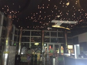 IMG_9353