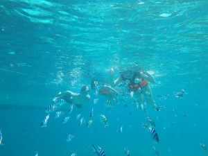 IMG_3086