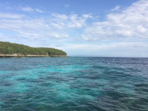 IMG_7926