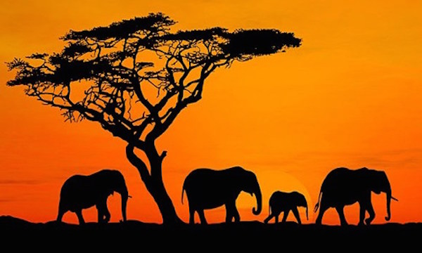 africa