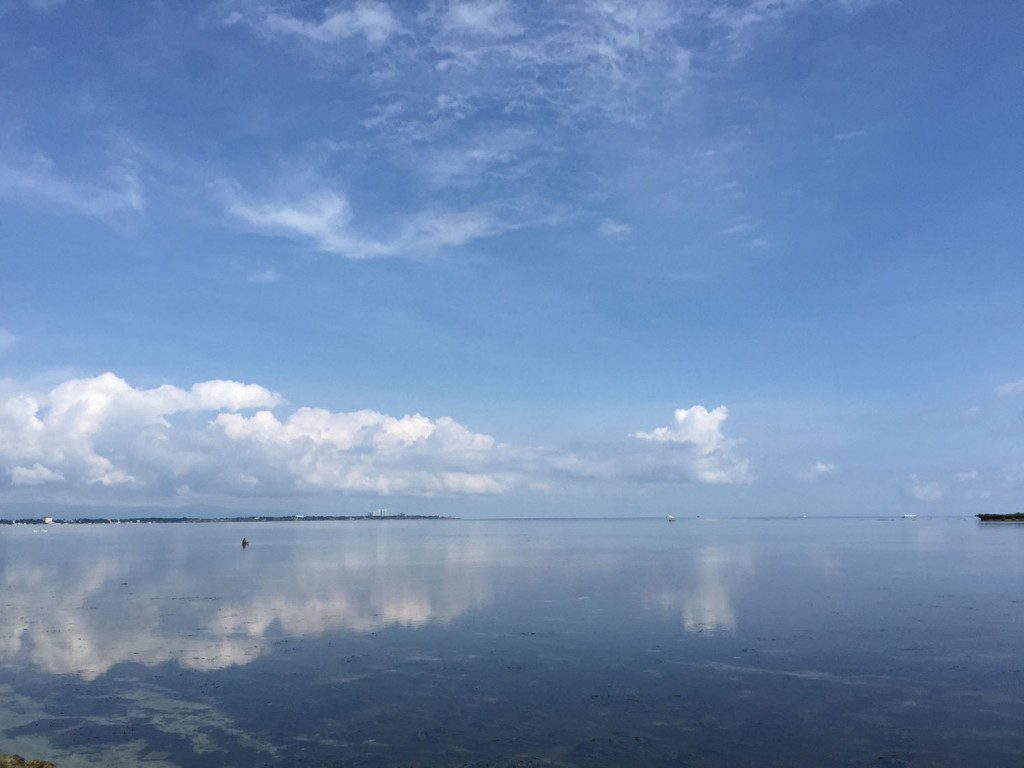 image1 (92)