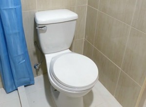 image3 (36)