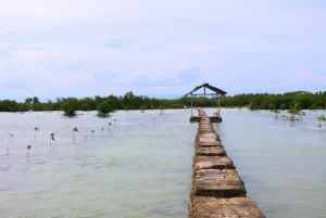 image3 (58)