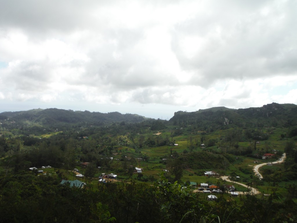 DSCF5080