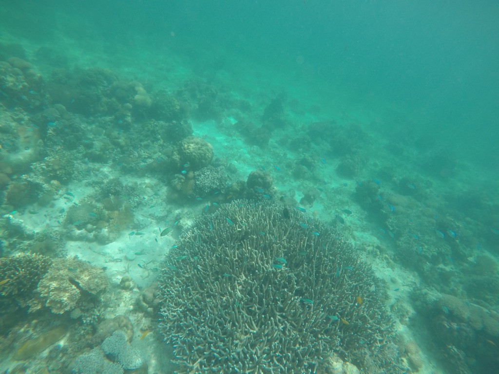 69F7D1D5-9139-4BC3-8A9B-ABED1B95878F