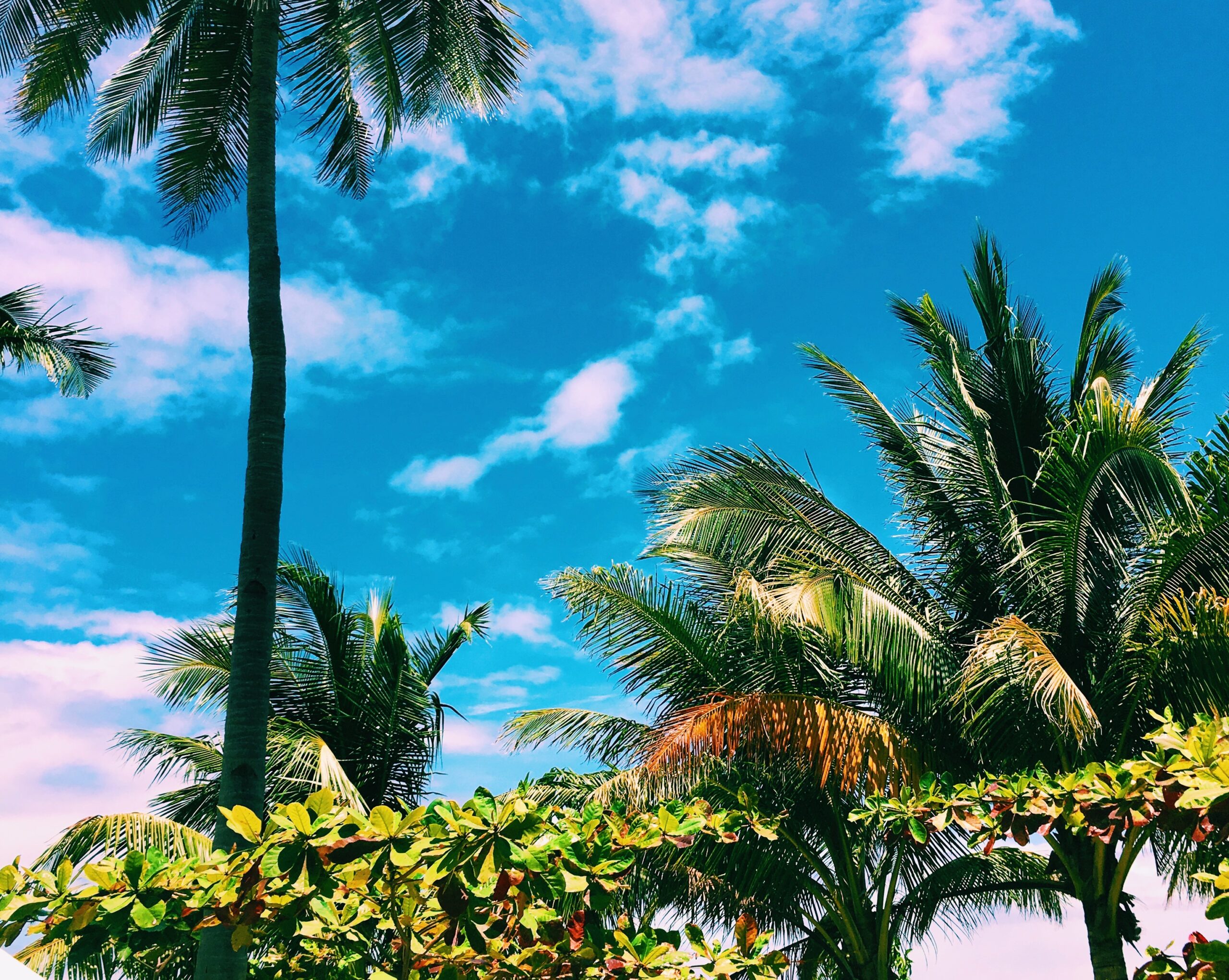 Processed with VSCO with c1 preset